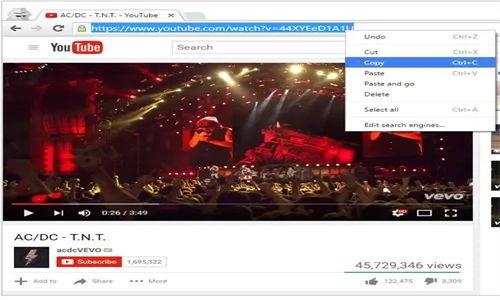 国产植品视频永久播放,永恒传承，绿色生活永续播放