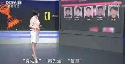 国产a免费一级视频探花,揭秘探花背后的故事与魅力