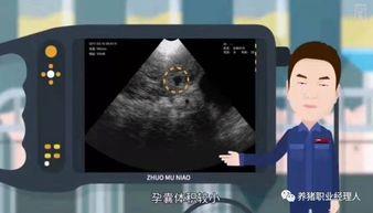 国产妊娠霜测评视频大全,全方位解析热门产品优劣